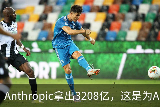 Anthropic拿出3208亿，这是为AI灭世论“买单”吗？